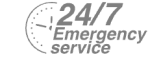 24/7 Emergency Service Pest Control in Catford, Hither Green, SE6. Call Now! 020 8166 9746